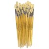 Hog Long Brushes: Round Tip Mixed Set - Set of 30