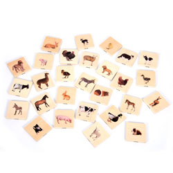 Domestic Animal Family Match Tiles - Set of 28