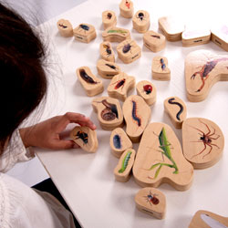 Wooden Minibeast Blocks - Set of 33