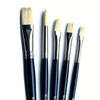 Hog Medium Blue Handle Brushes - Set of 5 - MB582-5