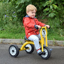 Wisdom Small Trike - For Ages 2-4