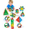 Magnetic Polydron School Set - Set of 224 Pieces - 50-4000