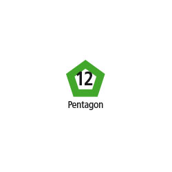 Giant Polydron Pentagon Set - Set of 12 Pieces - 70-7005