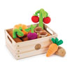 Vegetable Garden - by Educational Insights - EI-3686