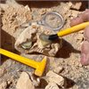 Geosafari Fossil Excavation Kit - by Educational Insights - EI-5340