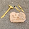 Geosafari Fossil Excavation Kit - by Educational Insights - EI-5340