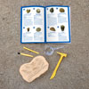 Geosafari Fossil Excavation Kit - by Educational Insights - EI-5340