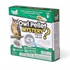 Owl Pellet Mystery Science Lab Kit - by Hand2Mind - H2M90738