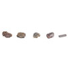 Dig & Display Fossil Kit - H2M93418