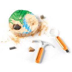 Dig & Display Fossil Kit