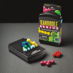 Kanoodle Genius - by Educational Insights